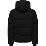 ONLY & SONS - Jas - Winterjassen