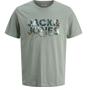 JACK & JONES Jjgeplas Tee Ss Crew Neck, Iceberg Green., XS