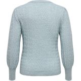 ONLY CARMAKOMA - Pullover - Grijsblauw - Gebreid