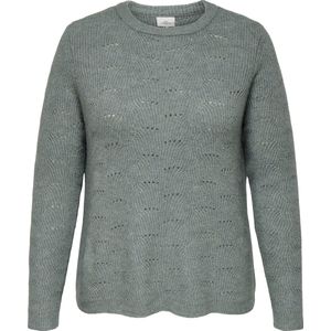 Carlolli - Gebreide Pullover - O-hals - Lange Mouwen - Knit Fit