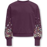 KIDS_ONLY meisjes sweater - Mauve