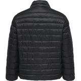 ONLY CARMAKOMA - CARTAHIA LW QUILTED JACKET OTW NOOS - Gewatteerde Jas - Dames