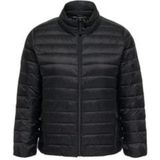 ONLY CARMAKOMA - CARTAHIA LW QUILTED JACKET OTW NOOS - Gewatteerde Jas - Dames