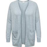 Caresly - Vest - Lange Mouwen - Regular Fit