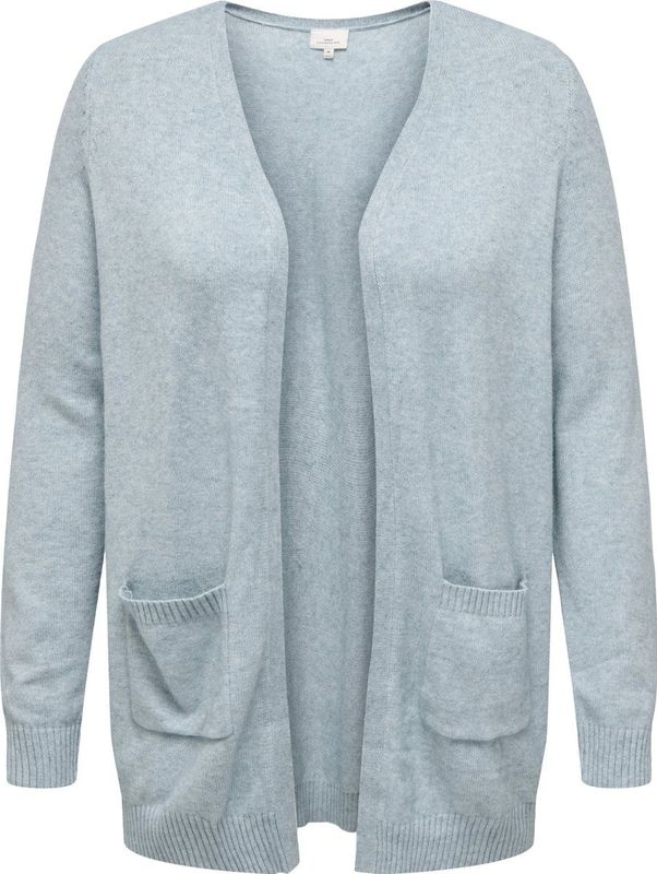 Caresly - Vest - Lange Mouwen - Regular Fit