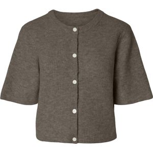 Pcsilly - Korte Mouwen - Gebreid Vest