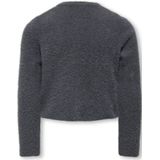 Kids Only - Kogpiumo Petra - Gebreid Vest - Steel
