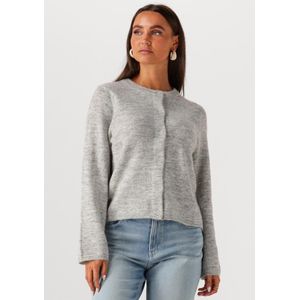 Selected - Lulu New - Vest - Ronde Hals - Lange Mouwen - Knoopsluiting