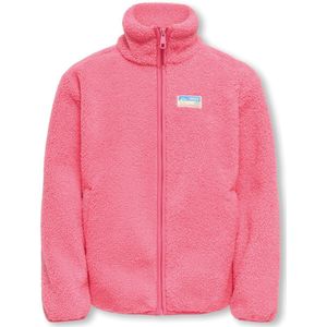 Pink lemonade - Winterjas - Capuchonloos - Lange Mouwen - Ritssluiting