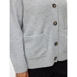 Vero Moda - Curve Boom - Trui - V-hals - Lange Mouwen - Losse Pasvorm