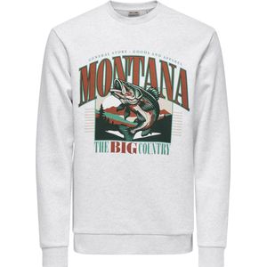 Only & Sons - ONSCERES - Sweatshirt - Bruin / Grijs Gemêleerd / Groen / Zwart