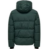 ONLY & SONS - JUNIOR - Gewatteerde Jas - Donkergroen