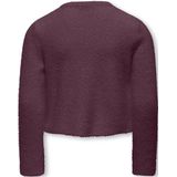 Kids Only - Kogpiumo Petra - Gebreid Vest - Bordeaux