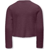 Kids Only - Kogpiumo Petra - Gebreid Vest - Bordeaux