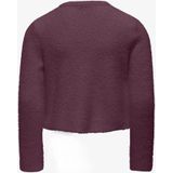 Kids Only - Kogpiumo Petra - Gebreid Vest - Bordeaux