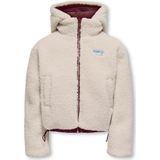 Woody zwemshort heren - donkerrood - cavia all-over print - 211-1-ZWW-W/940 - maat S