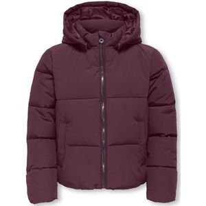 KIDS ONLY - KOGDOLLY SHORT PUFFER JACKET - Gewatteerde Jas - Mauve Wine - Met Capuchon