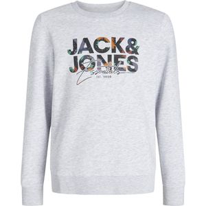 JACK & JONES - Sweater - Regular Fit - Ronde Hals - Lange Mouwen
