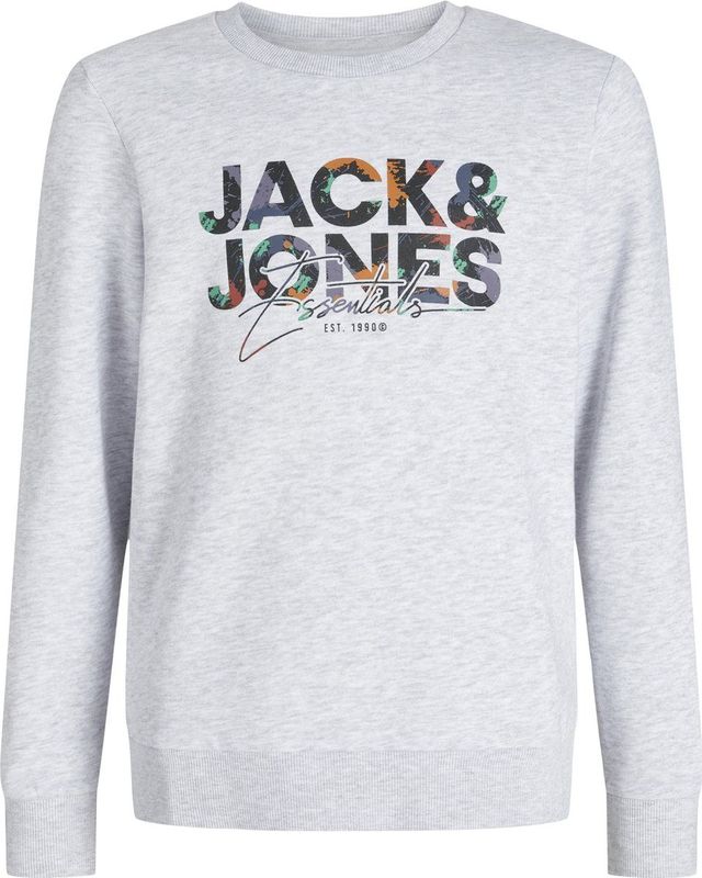 JACK & JONES - Sweater - Regular Fit - Ronde Hals - Lange Mouwen