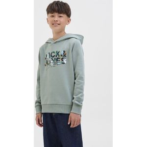 Sweater - Iceberg Green - Met Capuchon - Lange Mouwen - Regular Fit