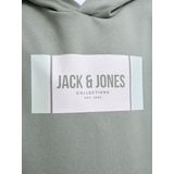 Jack & Jones - JJHAYATO - Sweatshirt - Lichtblauw - Capuchon