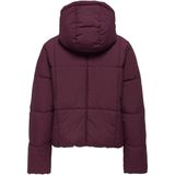 Regenjas - Waterdicht - Capuchon - Lange Mouwen - Drukknoopsluiting