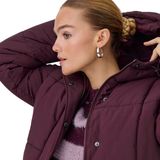 Regenjas - Waterdicht - Capuchon - Lange Mouwen - Drukknoopsluiting