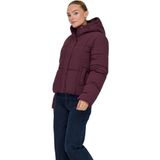 Regenjas - Waterdicht - Capuchon - Lange Mouwen - Drukknoopsluiting