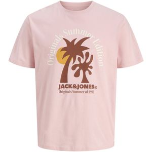 Jack & Jones Jordown tee ss crew neck stydss25