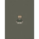 Interlock - Pyjama - Meerkleurig - Katoen Biologisch - 2-Pack