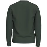 Casual Sweater - Ronde Hals - Lange Mouwen - Regular Fit - 77% LENZING™ ECOVERO™ Viscose