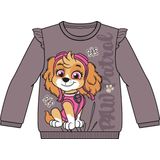 NAME IT - NMFSANNA PAW - Sweatshirt - Bruin - Meisjes
