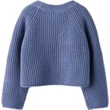NAME IT - Trui - Katoen en Acryl - Lange Mouwen - Ronde Hals