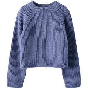 Gebreide Trui - Loose Fit - Lange Mouwen - Ronde Hals