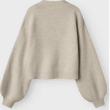 Gebreide Cardigan - Regular Fit - V-hals - Lange Mouwen - Pluizig Gebreid