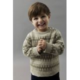 Gebreide Trui - Lange Mouwen - Jacquard