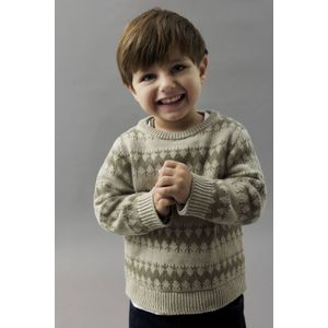 Gebreide Trui - Lange Mouwen - Jacquard