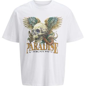 JACK & JONES - Shirt - Karamel - Groen - Pastelgroen - Wit