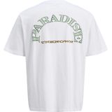 JACK & JONES - Shirt - Karamel - Groen - Pastelgroen - Wit