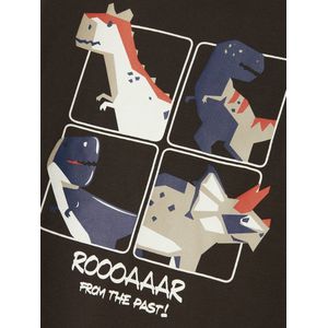 NAME IT - Longsleeve - Zacht Katoen - Ronde Hals - Lange Mouwen