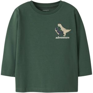 NAME IT Nmmnathan Ls Nreg Top Box, Garden Topiary, 116