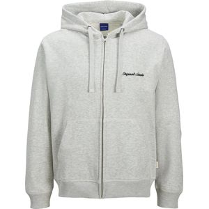 Jack & Jones - JORNORREBRO EMB SWEAT ZIP HOOD - Hoodie - White melange