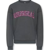 KIDS ONLY - Sweater - Grijs
