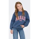 ONLY - KOGMARISA O-NECK LOOSE PRINTED SWT - Sweatshirt - Vintage Indigo