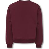 ONLY GIRLS - Kogvictory - Sweatshirt - O-hals - Lange Mouwen - Regular Fit
