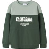 Sweatshirt - Regular Fit - Geborstelde Sweatstof - Lange Mouwen