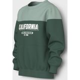 Sweatshirt - Regular Fit - Geborstelde Sweatstof - Lange Mouwen