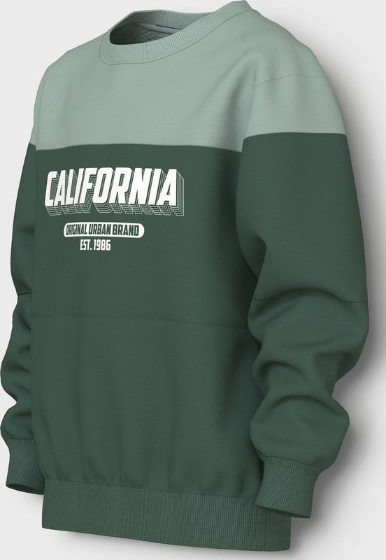 Sweatshirt - Regular Fit - Geborstelde Sweatstof - Lange Mouwen