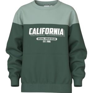 Sweatshirt - Regular Fit - Geborstelde Sweatstof - Lange Mouwen