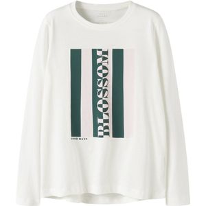 NAME IT - NKFVIOLET - Longsleeve - Donkergroen / Rosa / Wit